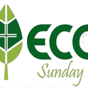 Eco Sunday Logo